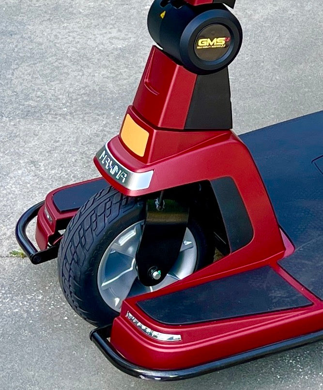 ecv rental disney world