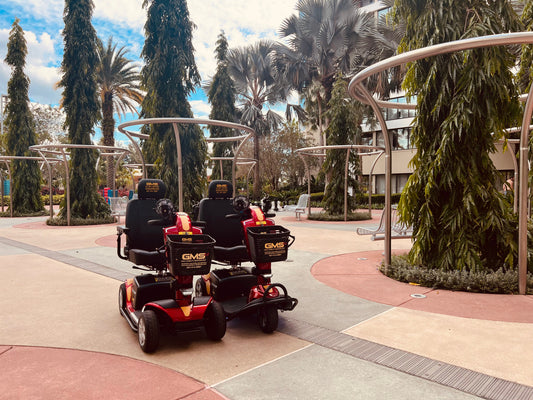 Beyond the Theme Parks: The Best Accessible Places to Explore Around Orlando