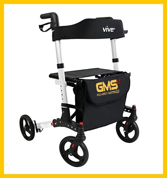 Premium Walker Rental - THEME PARK APPROVED