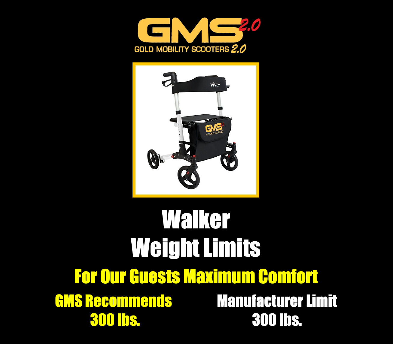 Premium Walker Rental - THEME PARK APPROVED